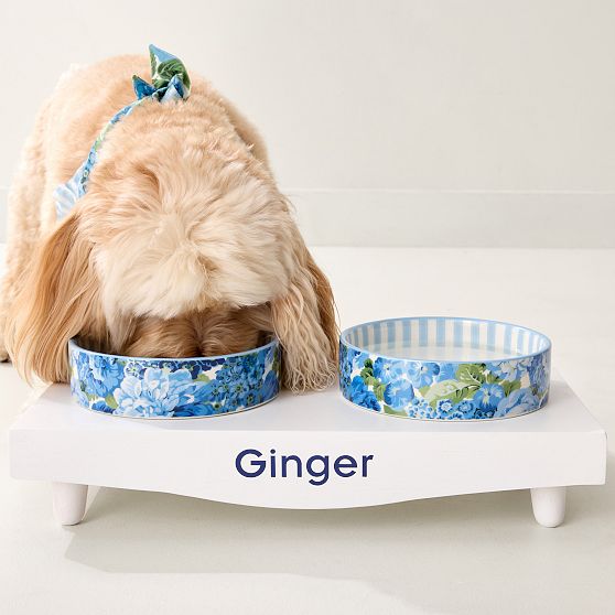Sanderson Ceramic Pet Bowl