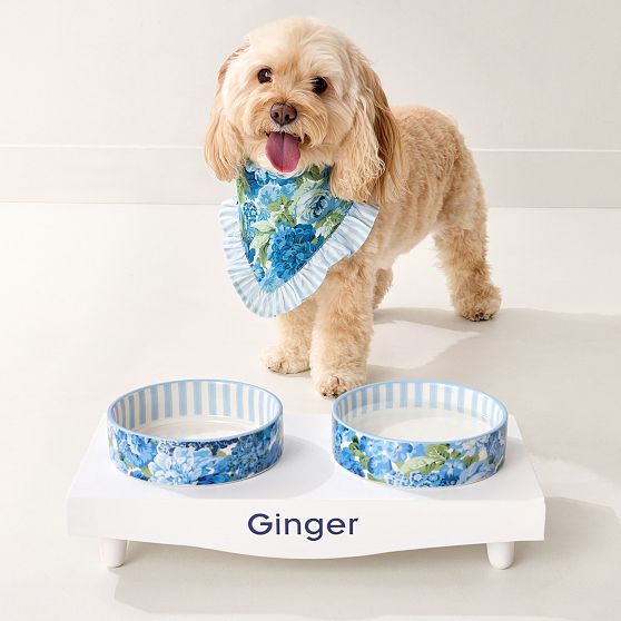 Sanderson Ceramic Pet Bowl