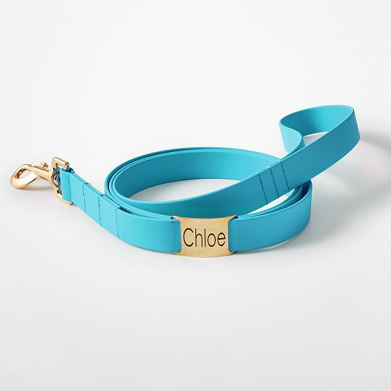 Waterproof Dog Leash