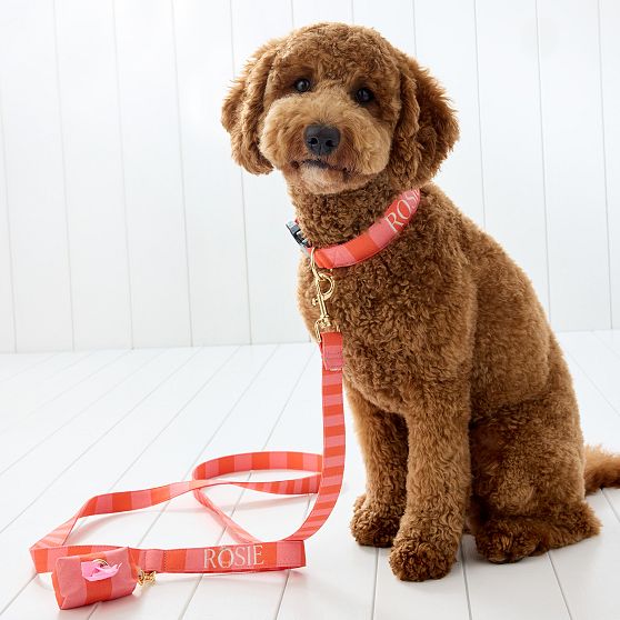 Cabana Stripe Dog Collar