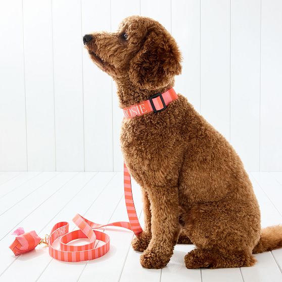 Cabana Stripe Dog Collar