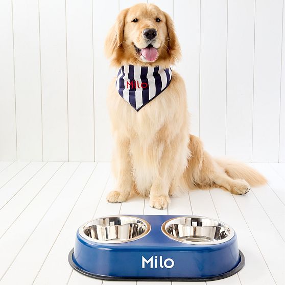 Cabana Stripe Dog Bandana