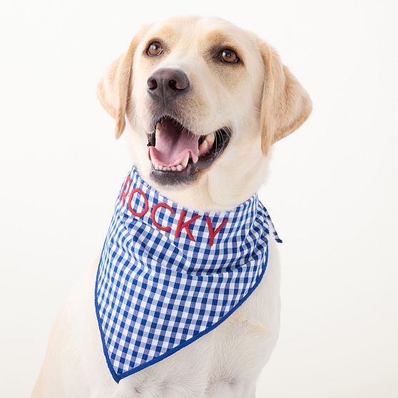 Patterned Dog Bandana
