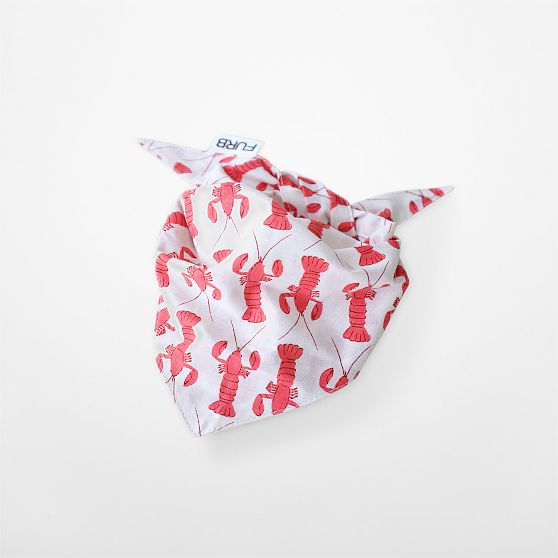 Coastal Patterned Dog Bandana