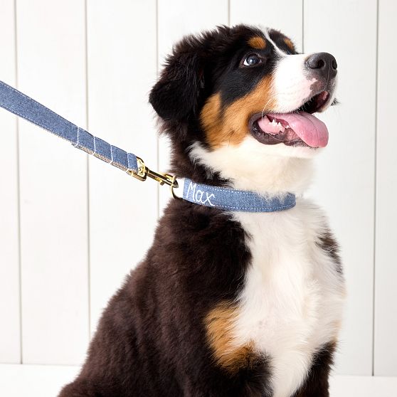 Hand-Embroidered Linen Dog Collar