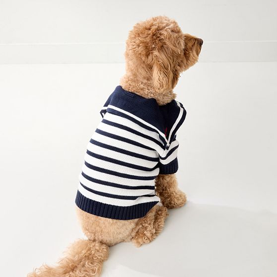 Sailor Dog Sweater