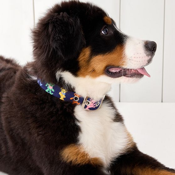 Smathers &amp; Branson Needlepoint Dog Collar