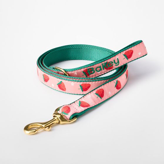 Patterned Ribbon Leash