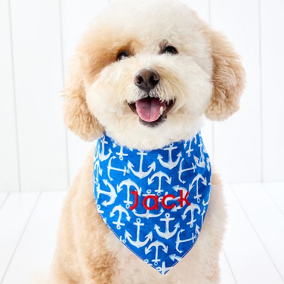 Coastal Patterned Dog Bandana