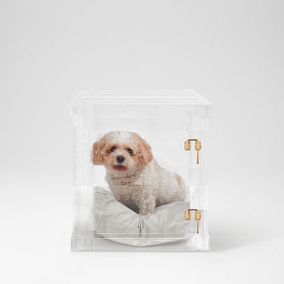 Hiddin Lucite Pet Crate with Cushion