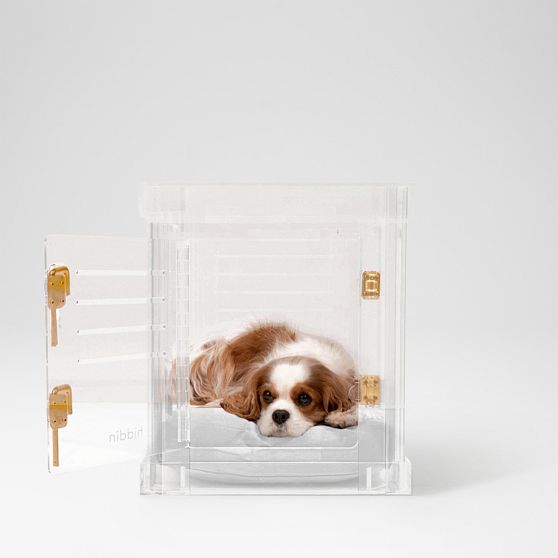 Hiddin Lucite Pet Crate with Cushion