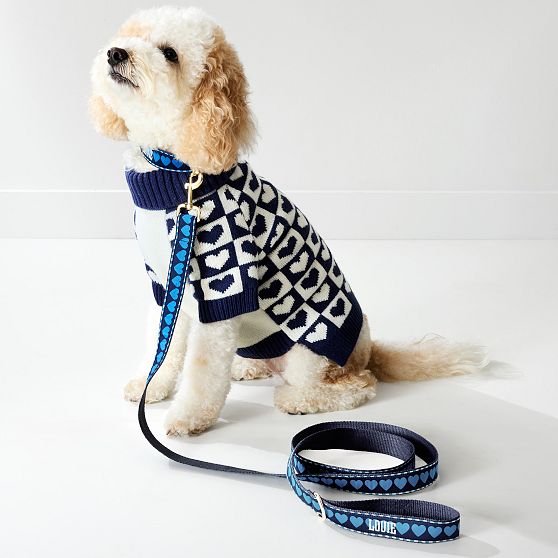 Ribbon Leash