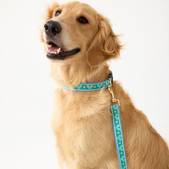 Ribbon Collar