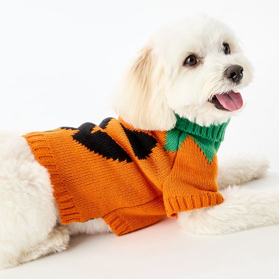 Halloween Knit Dog Sweater