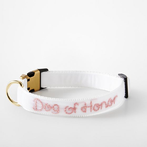 Hand-Embroidered Velvet Dog Collar