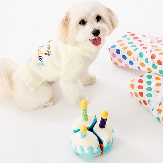 Knit Dog Sweater