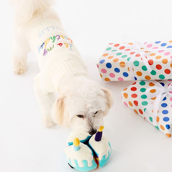 Knit Dog Sweater