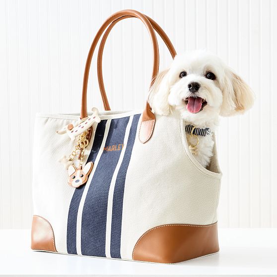 Parker Canvas and Leather Pet Carrier Tote