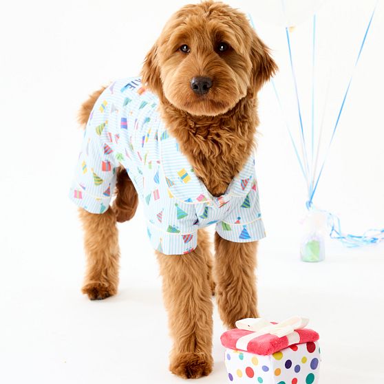 Pet Birthday Toy Set