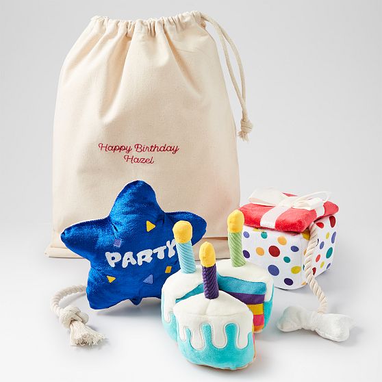 Pet Birthday Toy Set