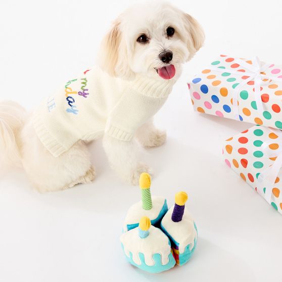 Pet Birthday Toy Set