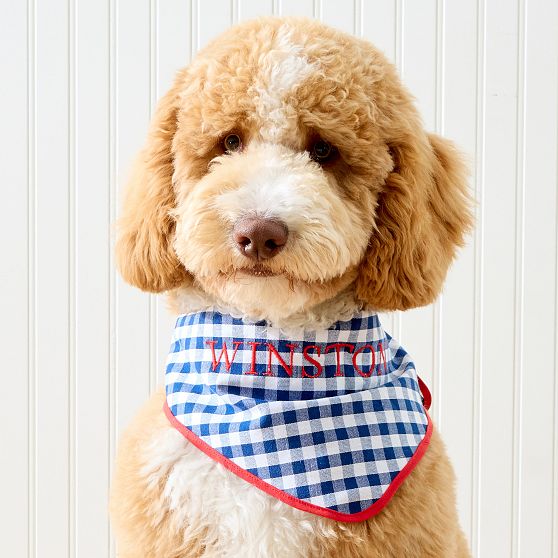 Gingham Pet Bandana