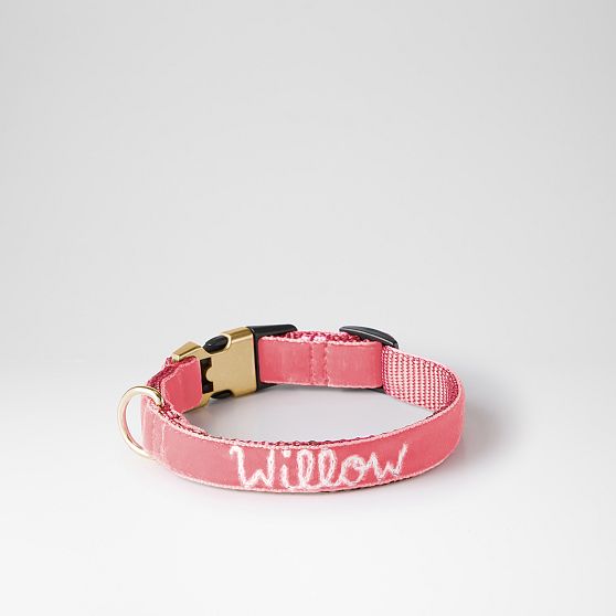 Hand-Embroidered Velvet Dog Collar