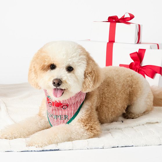 Holiday Icon Dog Bandana​