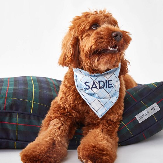 Jax &amp; Bones Dog Pillow Bed