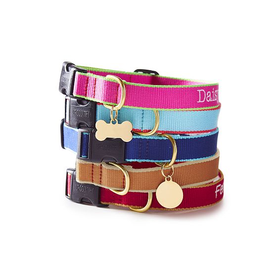 Color Market Collar