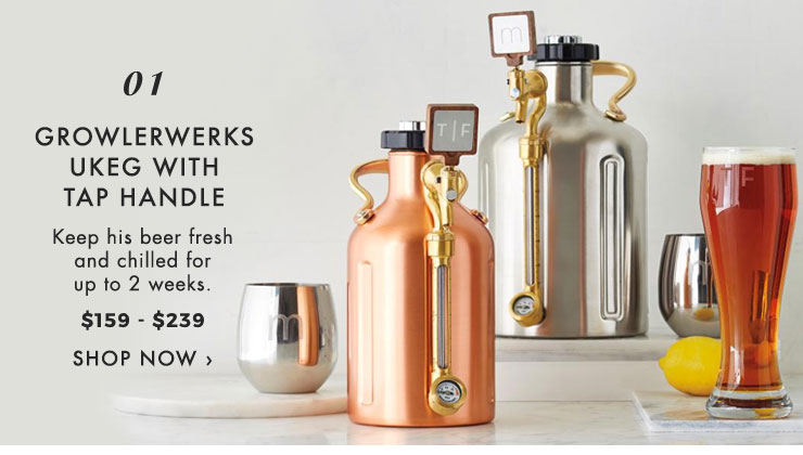 1. Growlerwerks Ukeg with Tap Handle >