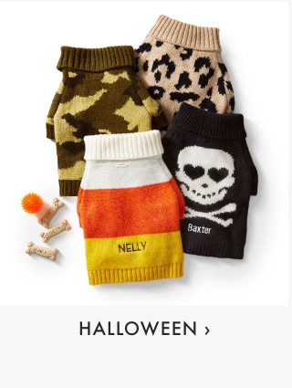 Halloween >
