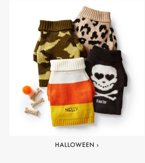 Halloween >