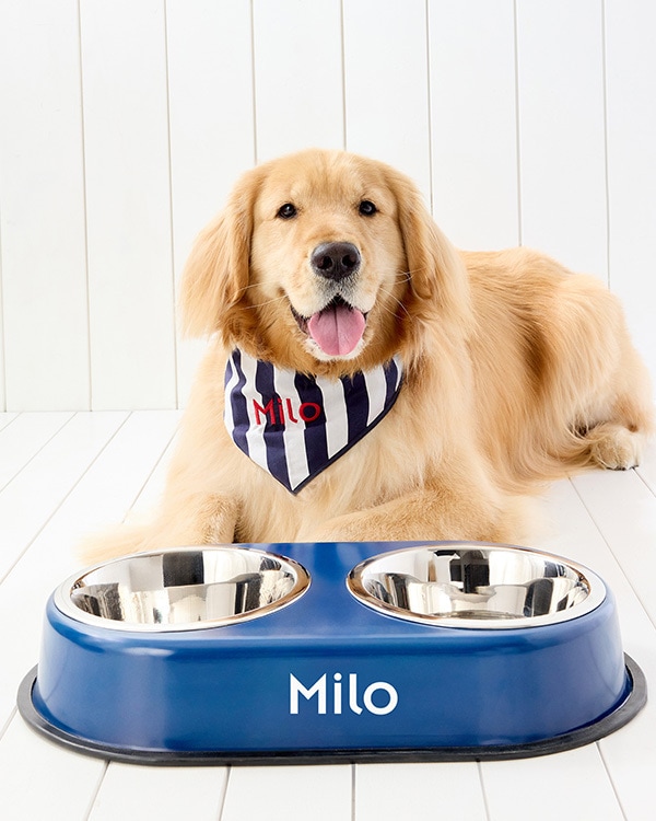 Personalized Bowls + Stands >