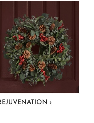Rejuvenation >
