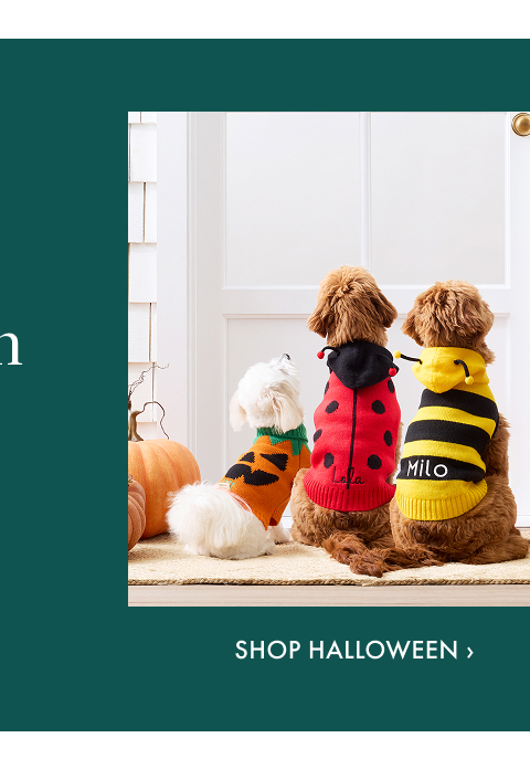 Shop Halloween >