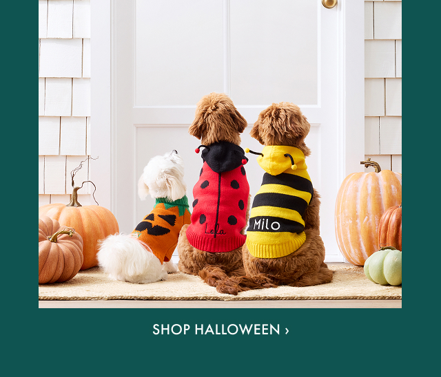 Shop Halloween >
