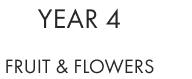 Year 4 - Fruit & Flowers