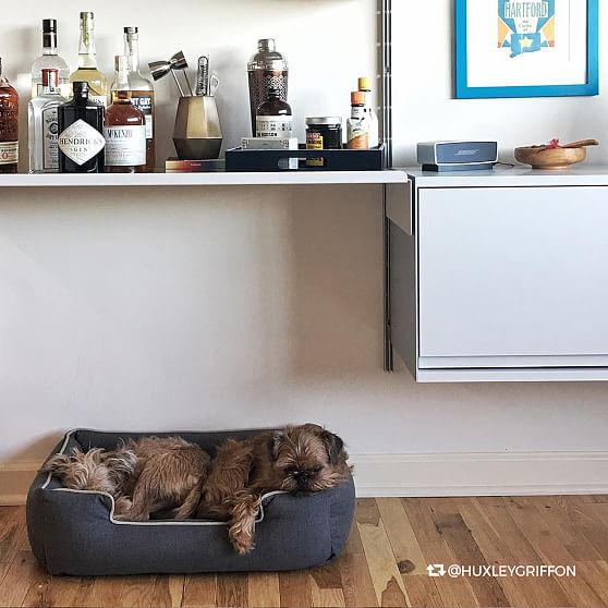 jax and bones dog bed sale