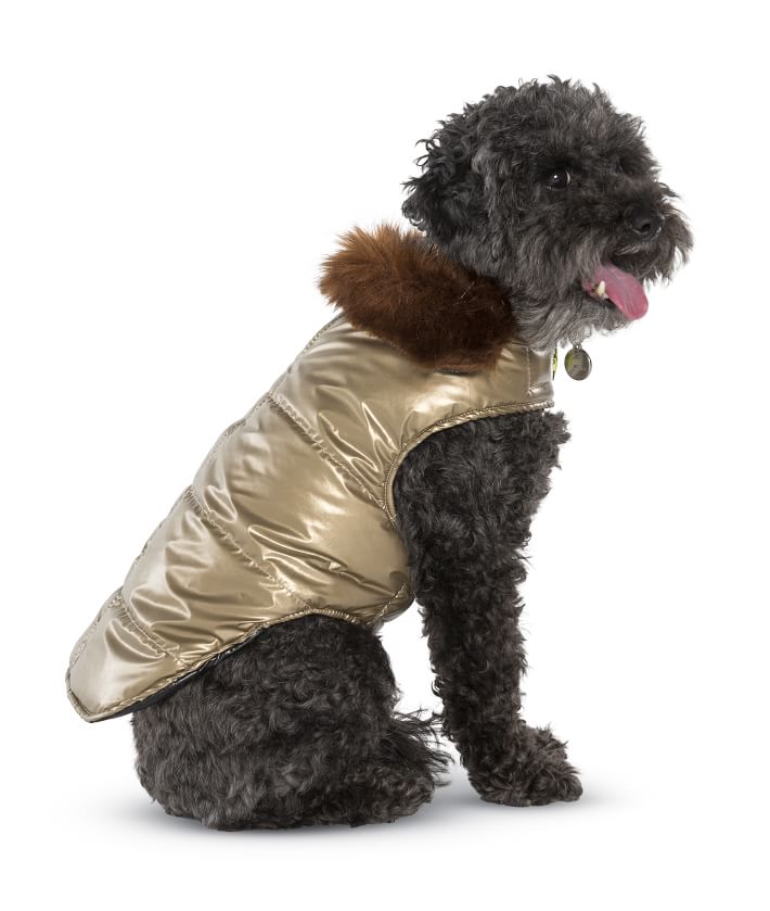 puffer coats for dogs