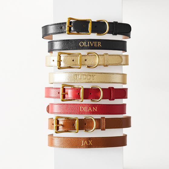 monogrammed dog leash