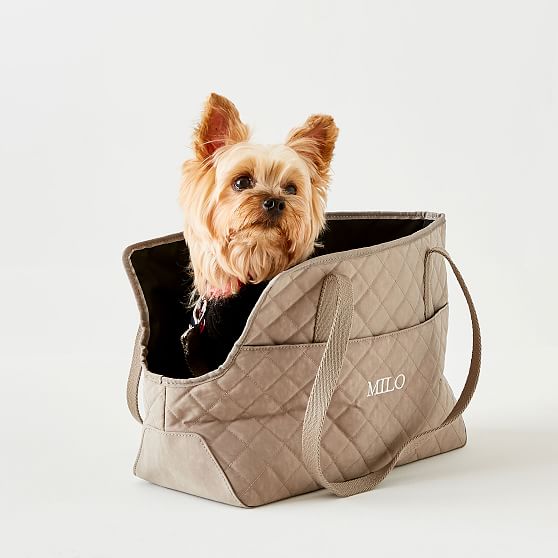 pet tote