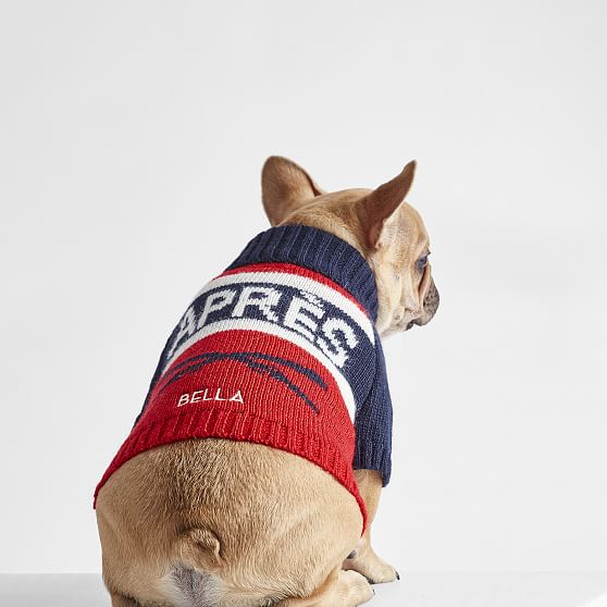 patriots dog sweater