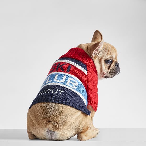 monogrammed dog sweaters