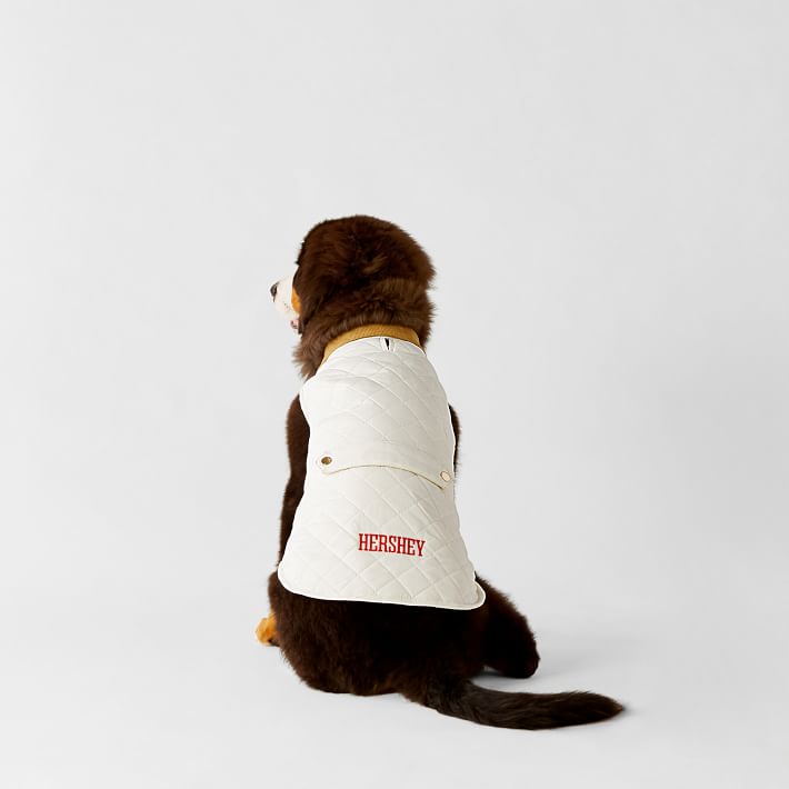 Personalized Quilted Dog Coat Mark and Graham