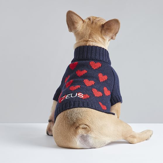 roots sweater for dogs