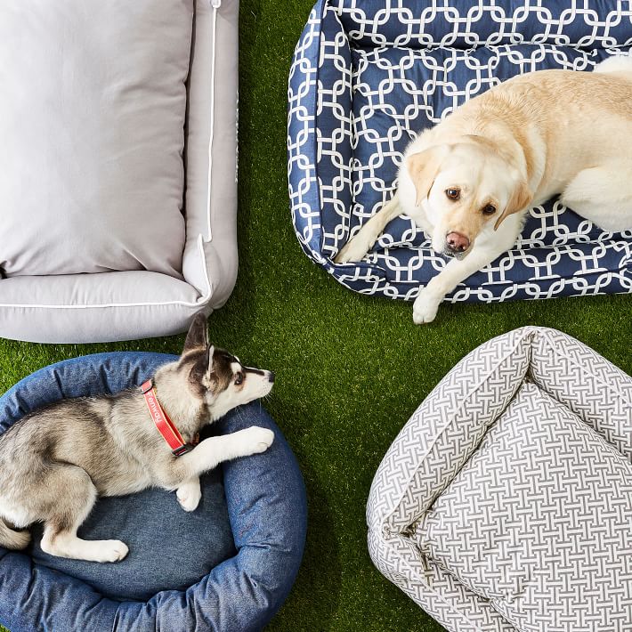 Jax & Bones Personalized Dog Lounge Bed Mark and Graham