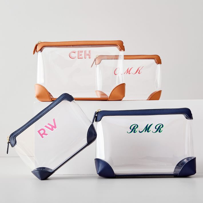 Louis Vuitton vinyl pouch clear pouch monogram accessory case
