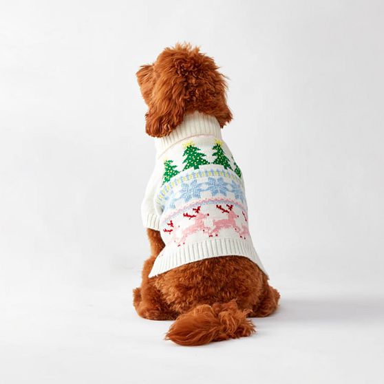 Monogram Dog Sweater With Letter Initial in Your Choice of 