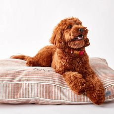 West elm 2024 monogrammed dog pillow